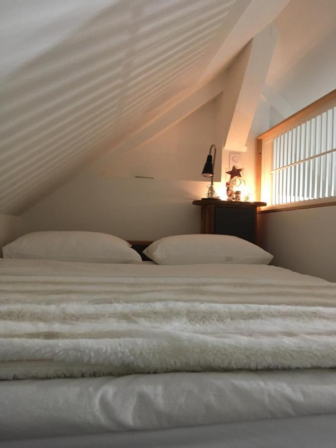 Logement Climatise Erdre Riviere La Chapelle-Sur-Erdre Eksteriør billede