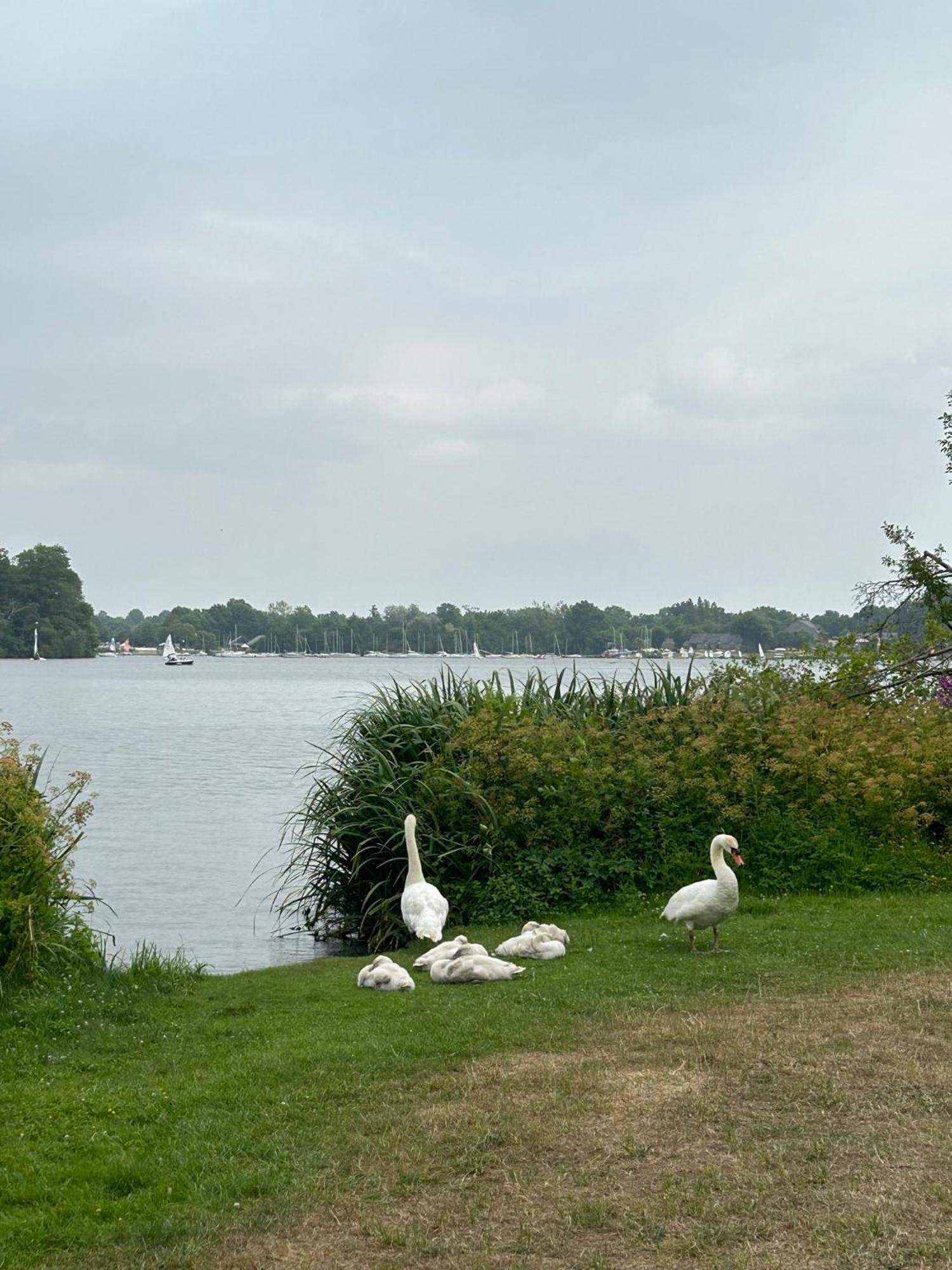 Logement Climatise Erdre Riviere La Chapelle-Sur-Erdre Eksteriør billede